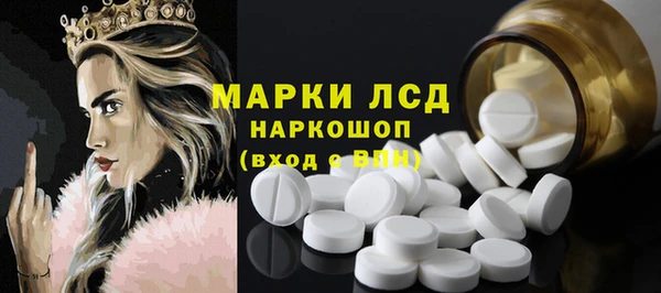 трава Бородино