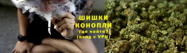 трава Бородино
