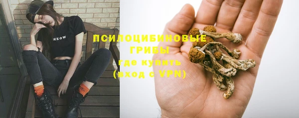 трава Бородино