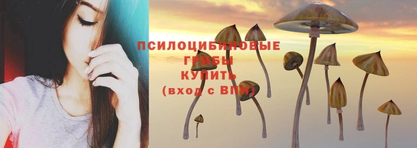 а пвп мука Бронницы