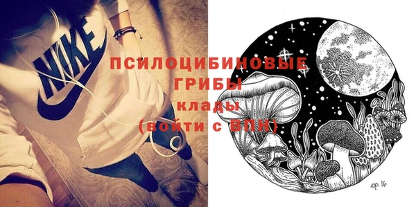 трава Бородино