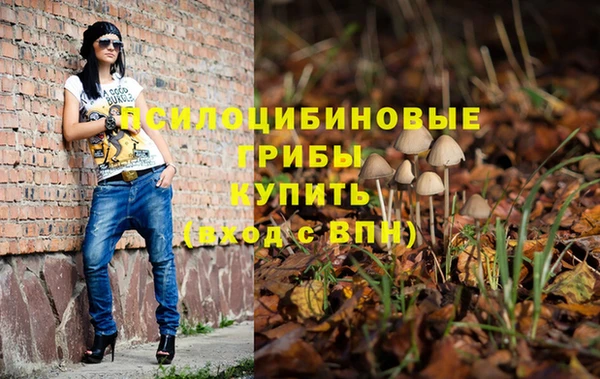 трава Бородино